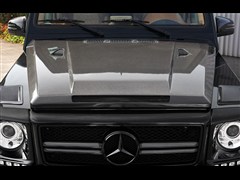2013 G 65 AMG