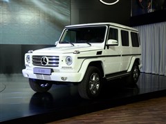 YG 2013 G 500