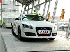 WTT 2010 TT 2.0TFSIذ