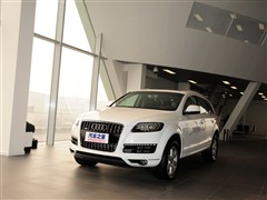 2011 3.0 TFSI g(245kW)