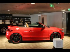 WTTS 2013 TTS Roadster 2.0TFSI quattro