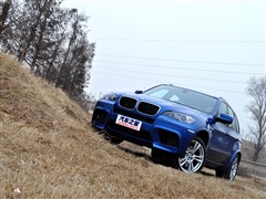 2010 X5 M