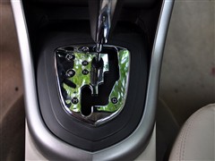 2010 2.0L ԄF