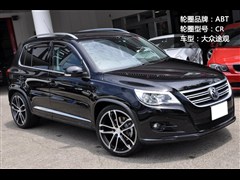 (M),Tiguan,2012 2.0TSI A,D⌍ĈDƬ