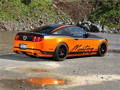 (M),ҰR,2012 5.0L GTԄӺA,bĈDƬ