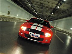 2012 GT500 քӺA