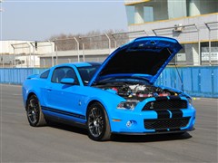 2012 GT500 քӺA