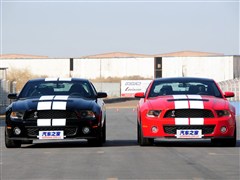 2012 GT500 քӺA