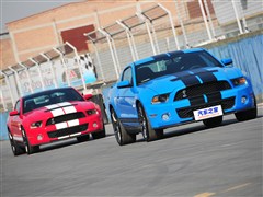 2012 GT500 քӺA
