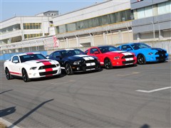 2012 GT500 քӺA