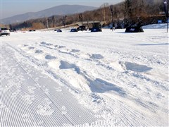2011 2.4L A