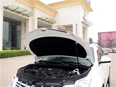 P(M),PSRX,2014 3.0L Ӣ,ĈDƬ
