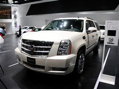 P(M),P׵ESCALADE,2013 ESVKL,܇^ĈDƬ