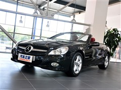 2010 SL 300
