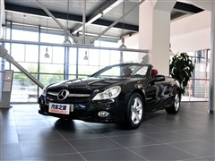 2010 SL 300