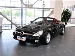 2010 SL 300