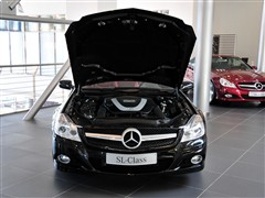 2010 SL 300