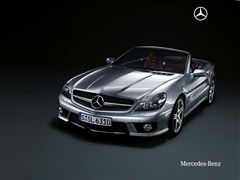 YSL 2010 SL 500