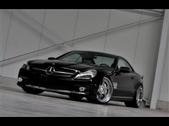 Y(M),YSL,2010 SL 500,bĈDƬ