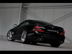 2010 SL 500