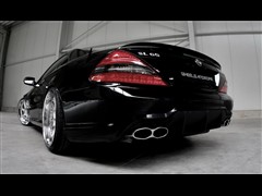 2010 SL 500