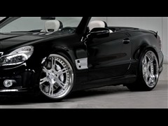 2010 SL 500