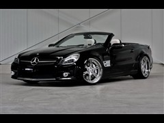 2010 SL 500