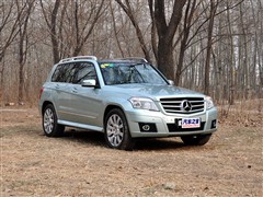 2008 GLK 300 4MATIC A