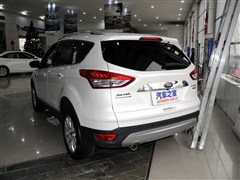2015 2.0L GTDi F