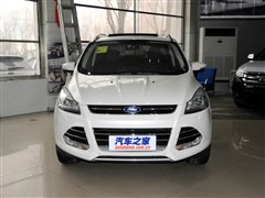2015 2.0L GTDi F