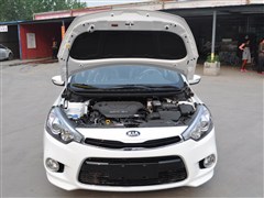 2014 1.6L ԄGLS